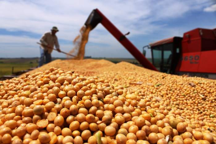 Guerra afeta custo de fertilizantes e produtor prevê redução no plantio de soja e de milho
