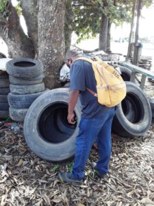 Prefeitura de Jaguaré já está nas ruas para combater o mosquito da dengue