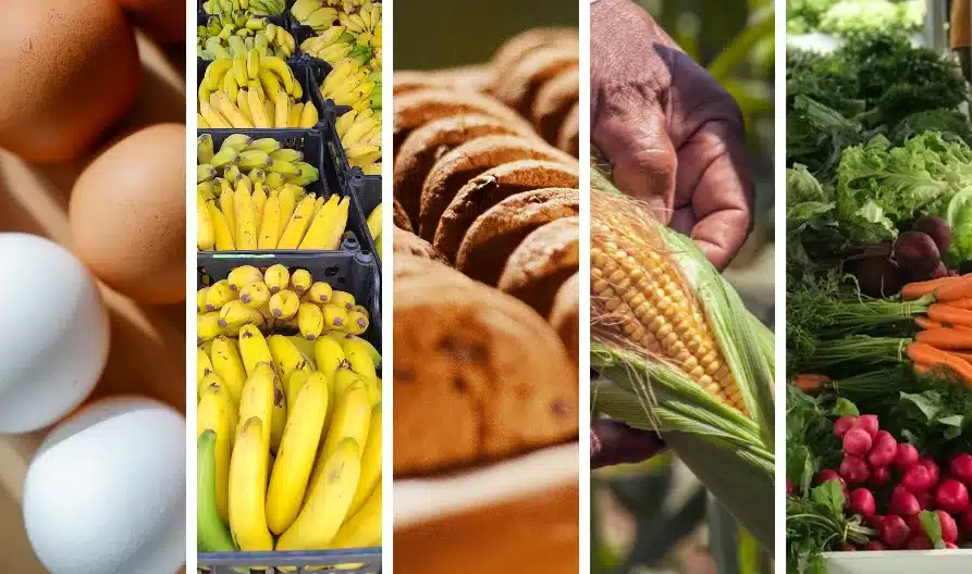 Agricultores capixabas ainda podem se inscrever para vender produtos da merenda escolar em 2025 1